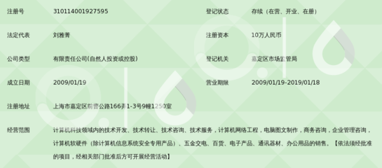 上海賽羅靈軟件 一站式信息技術咨詢服務的領航者